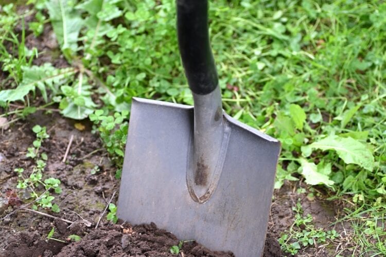 black and brown shovel on green grass