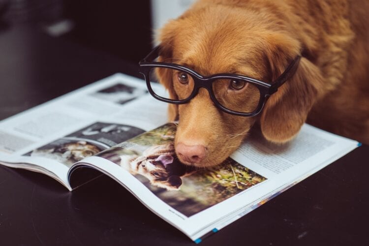 black framed eyeglasses